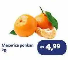 Mexerica ponkan kg