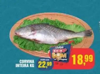 CoopBom Corvina inteira kg oferta