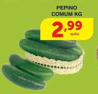 Roldão Pepino comum kg oferta
