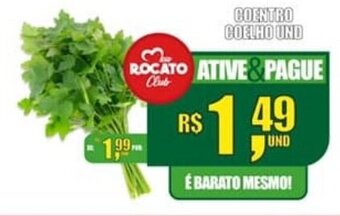 Coentro Coelho und