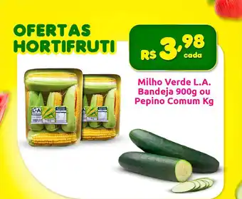 Milho verde l.a. bandeja ou pepino comum kg