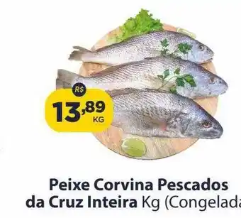 Super Show Peixe corvina pescados de cruz inteira kg congelada oferta