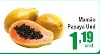 Mamao Papaya und
