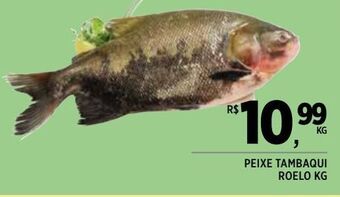 Peixe tambaqui roelo kg