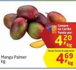 Tenda Atacado Manga palmer kg oferta