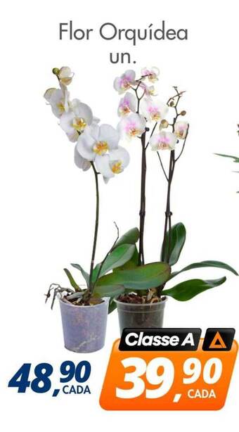 Delta Supermercados Flor orquídea un. oferta