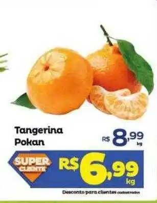 Tangerian pokan