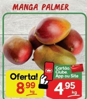 Manga palmer kg