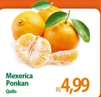 Mexerica Ponkan 1kg