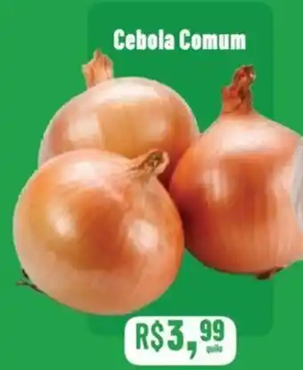 Cebola Comum