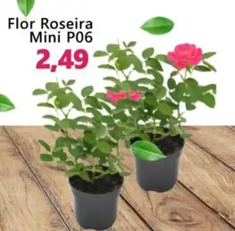 Flor Roseira Mini P 06