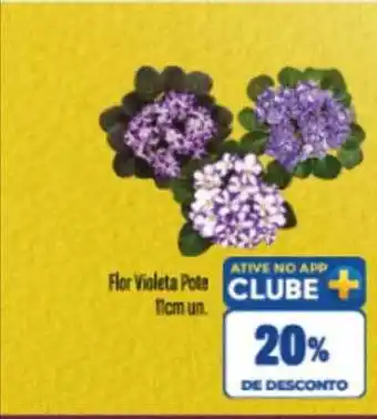 Flor violeta pote 11 cm 20% de desconto