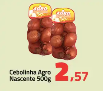 Cebolinha Agro Nascente 500g