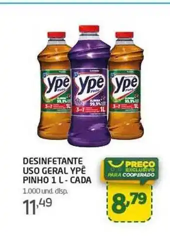 Desinfetante uso geral ypê pinho