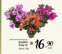 Giassi Supermercados Azaléia pote 14 oferta