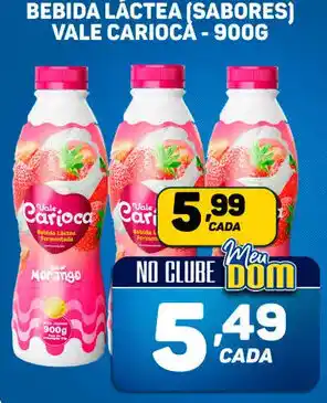 BEBIDA LÁCTEA (SABORES) VALE CARIOCA - 900G