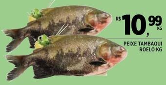 DB Supermercados Peixe tambaqui roelo kg oferta