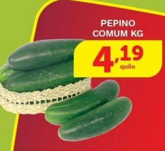 Roldão Pepino comum kg oferta