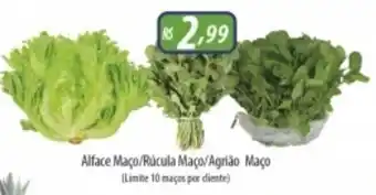 Alface Maco/ Rucula Maco/ Agrilao Maco