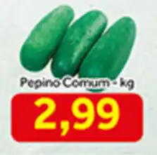 Shibata Supermercados Pepino Comum 1kg oferta