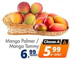 Manga Palmer / Manga Tommy