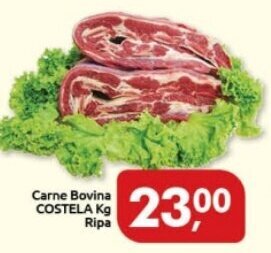 Carne Bovina COSTELA Kg Ripa