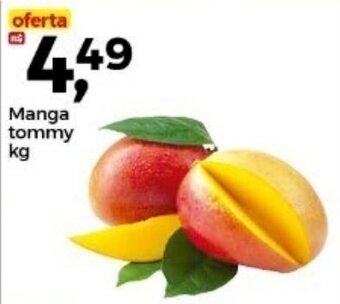 Frangolândia Manga tommy kg oferta
