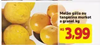 Mercado Extra Melao Galia ou tangerina Murkot a granel 1kg oferta