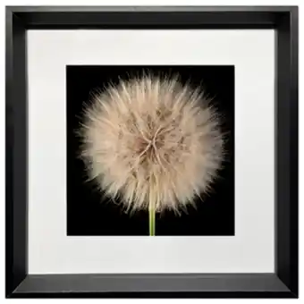 Leroy Merlin Kit com 2 quadros decorativos floral 30x30cm oferta
