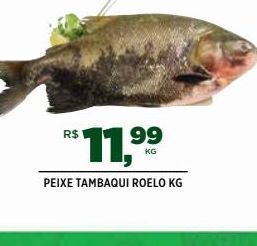 DB Supermercados Peixe tambaqui roelo kg oferta