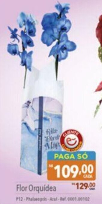 Supermercados Condor Flor Orquídea oferta