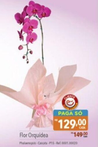 Supermercados Condor Flor Orquídea oferta