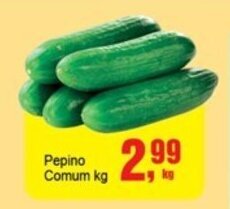 Negreiros Pepino Comum kg oferta