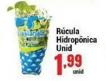 Rúcula Hidropônica Unid