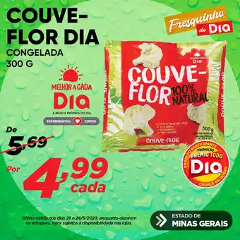 Dia COUVE-FLOR DIA CONGELADA 300 G oferta