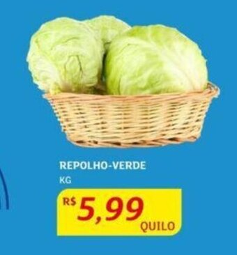 REPOLHO-VERDE KG