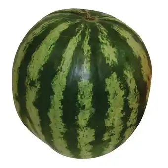 Hortifruti Melancia orgânica unidade oferta