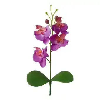 Flor mini orquidea 1un