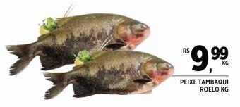 Peixe tambaqui roelo kg