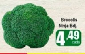 Brocolis Ninja Bdj.