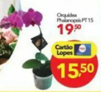 Lopes Supermercados Orquidea oferta