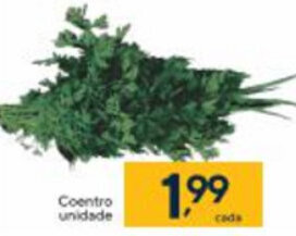 Coentro unidade