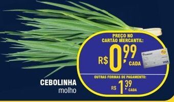 Mercantil Rodrigues Cebolinha molho oferta