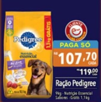 Supermercados Condor Ração Pedigree oferta