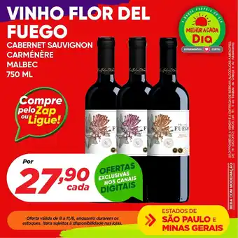 Dia Vinho VINHO FLOR DEL FUEGO 750ml oferta