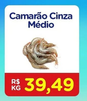 Camarao Cinza Medio