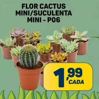 FLOR CACTUS MINI/SUCULENTA MINI - P06