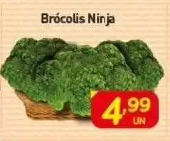 Brocolis Ninja