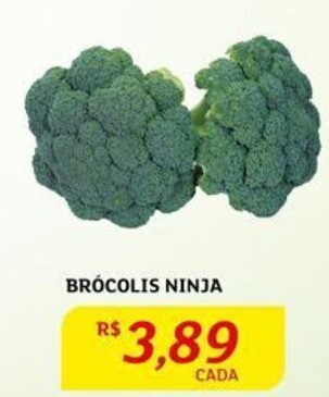 BRÓCOLIS NINJA