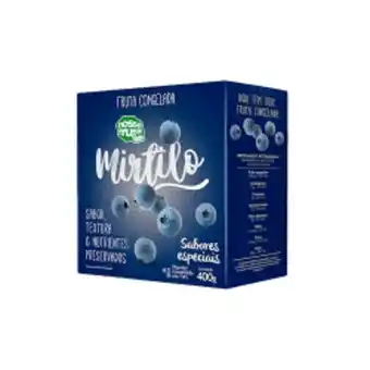 Mirtilo nossa fruta congelado 400g